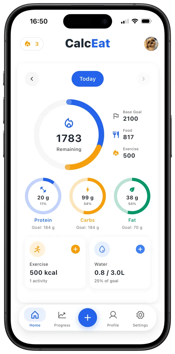 Daily nutrition dashboard with calories, macros, exercise, and water in CalcEat