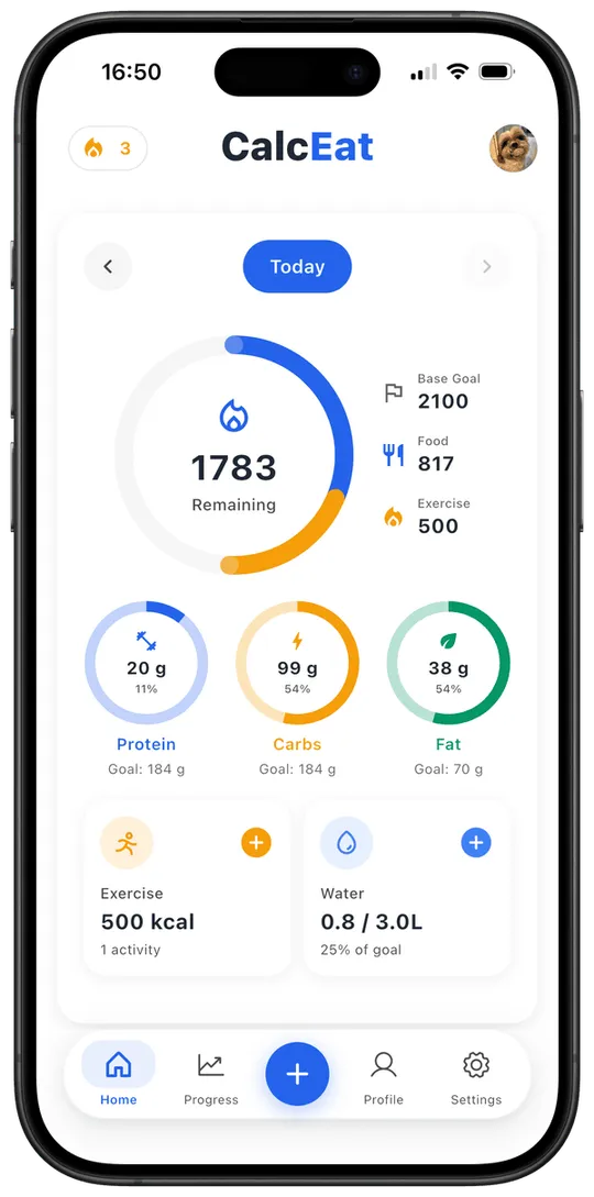 Daily nutrition dashboard with calories, macros, exercise, and water in CalcEat