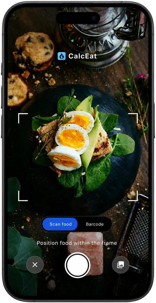 CalcEat app screenshot showing food logging interface