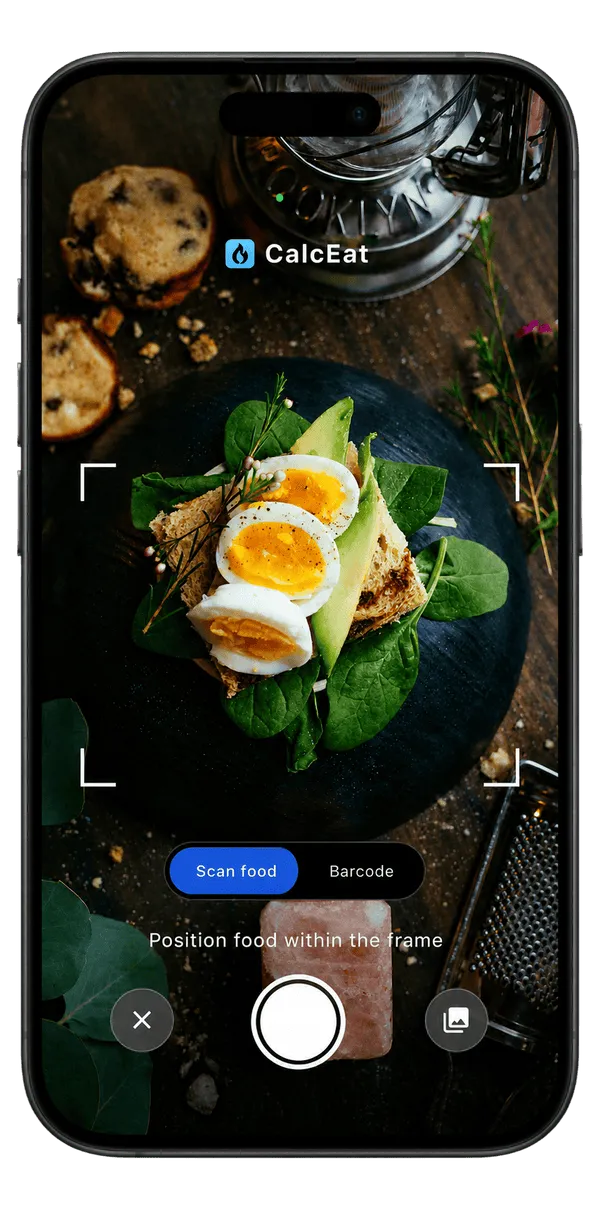 CalcEat camera viewfinder framing a plated meal