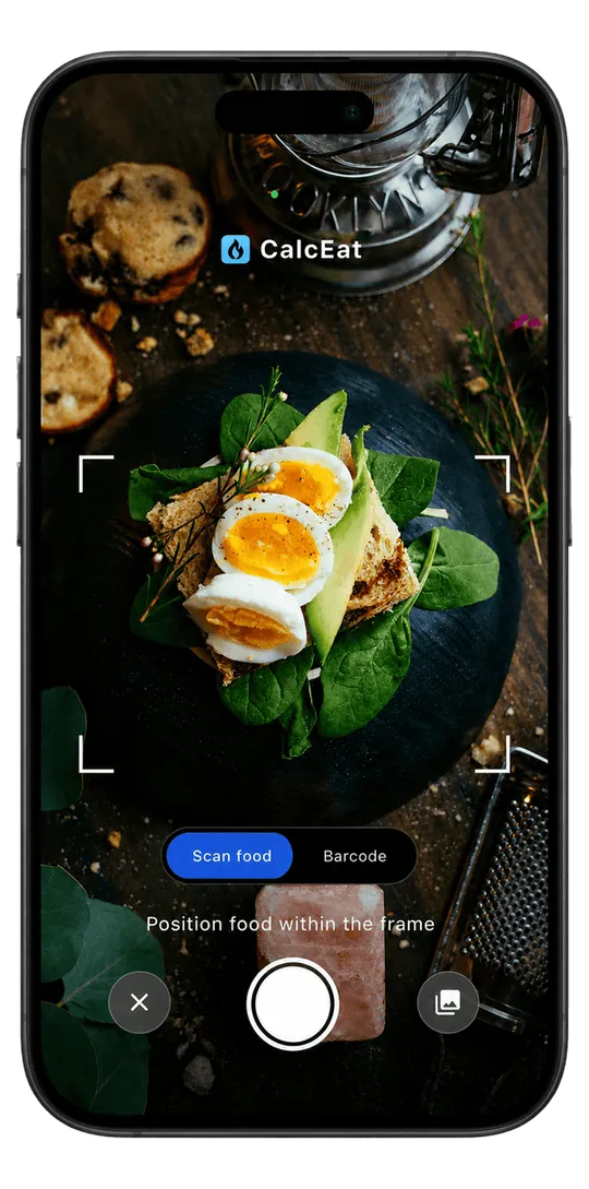 CalcEat camera viewfinder framing a plated meal